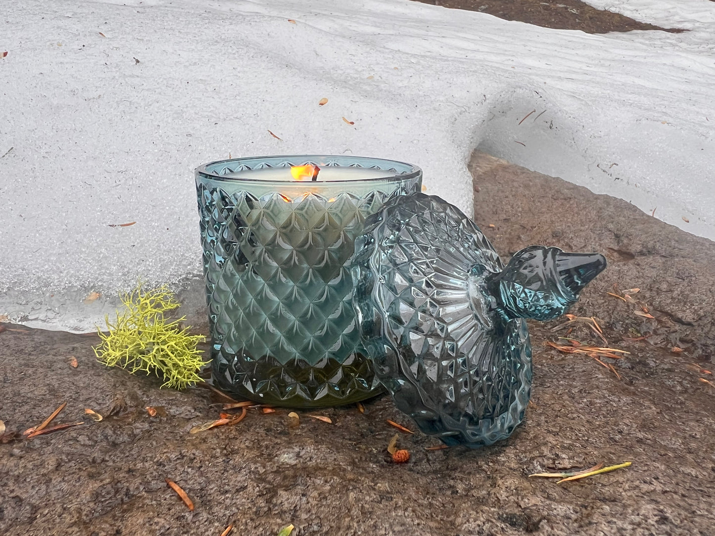 Winter Solstice 8 oz. Candle