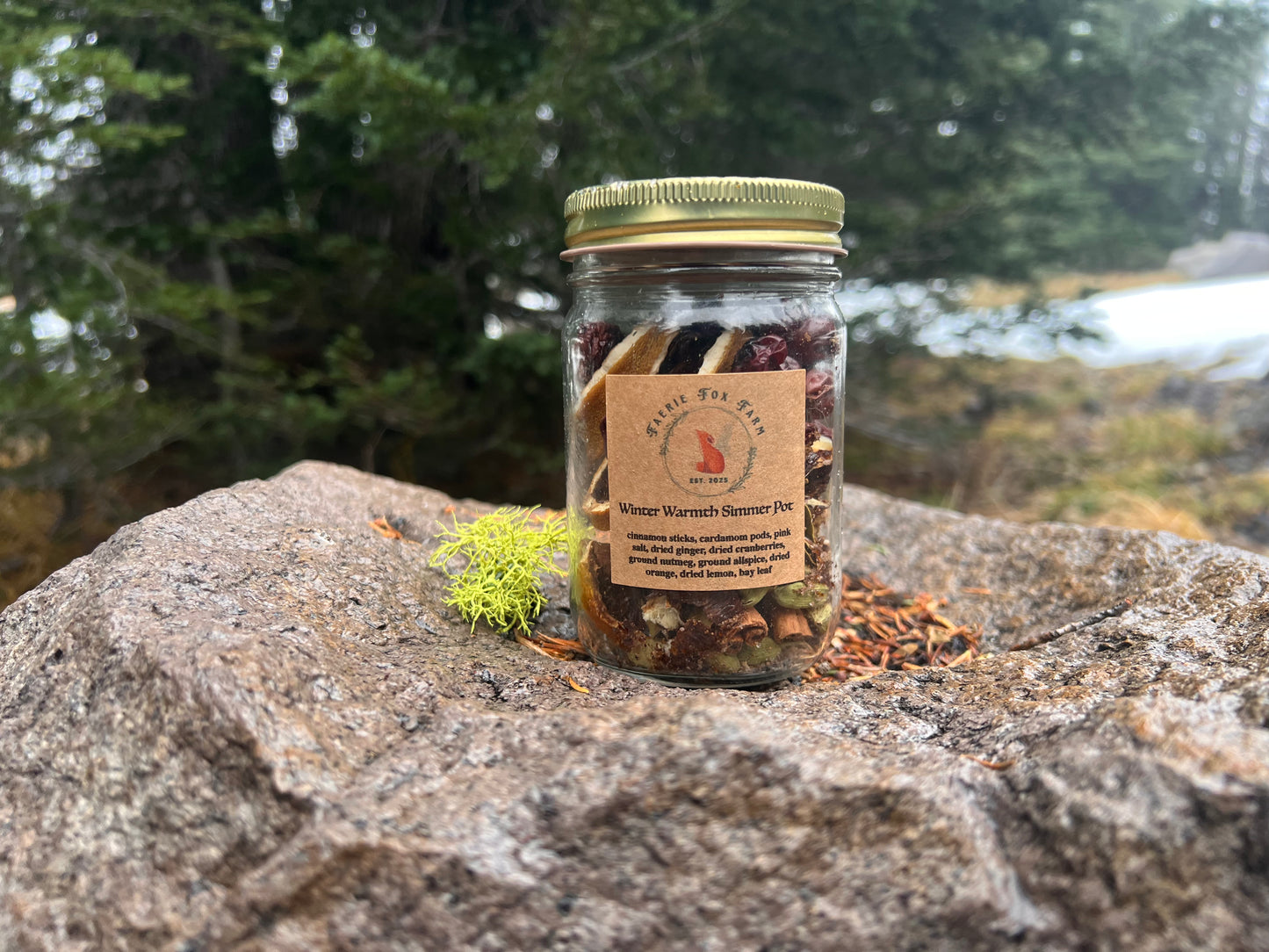Winter Warmth Simmer Pot