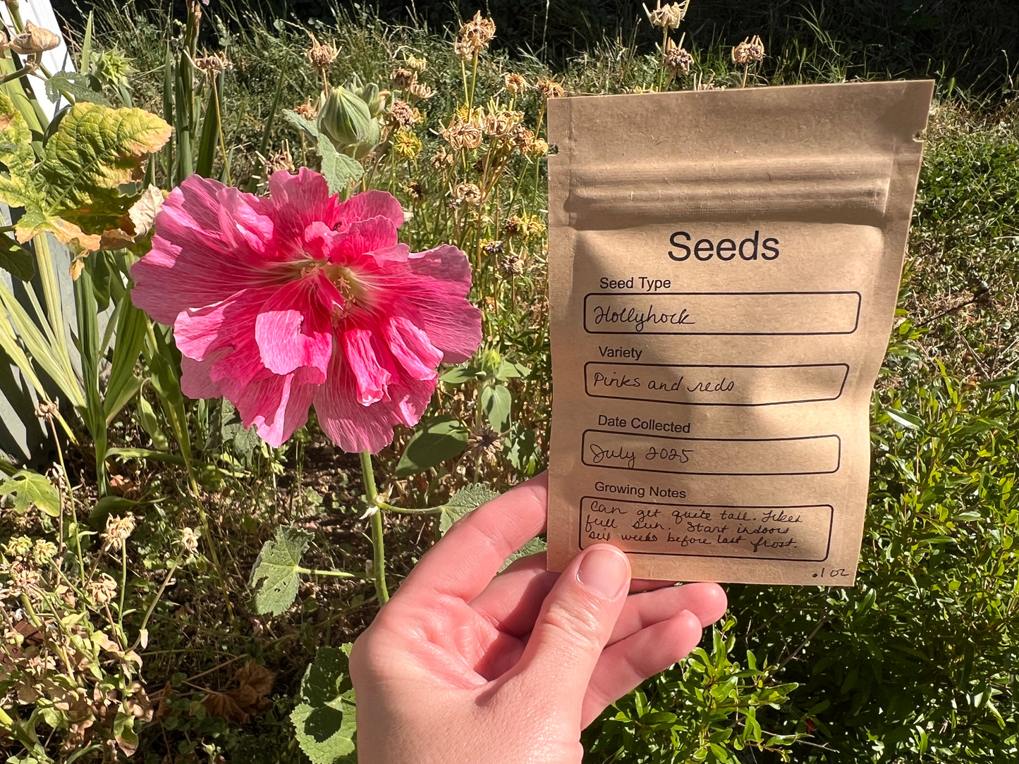 Pink and Red Hollyhock Seeds