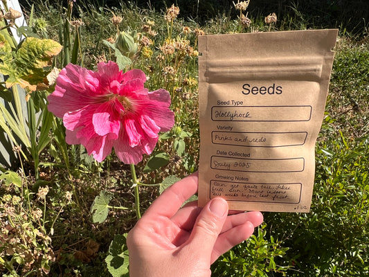 Pink and Red Hollyhock Seeds