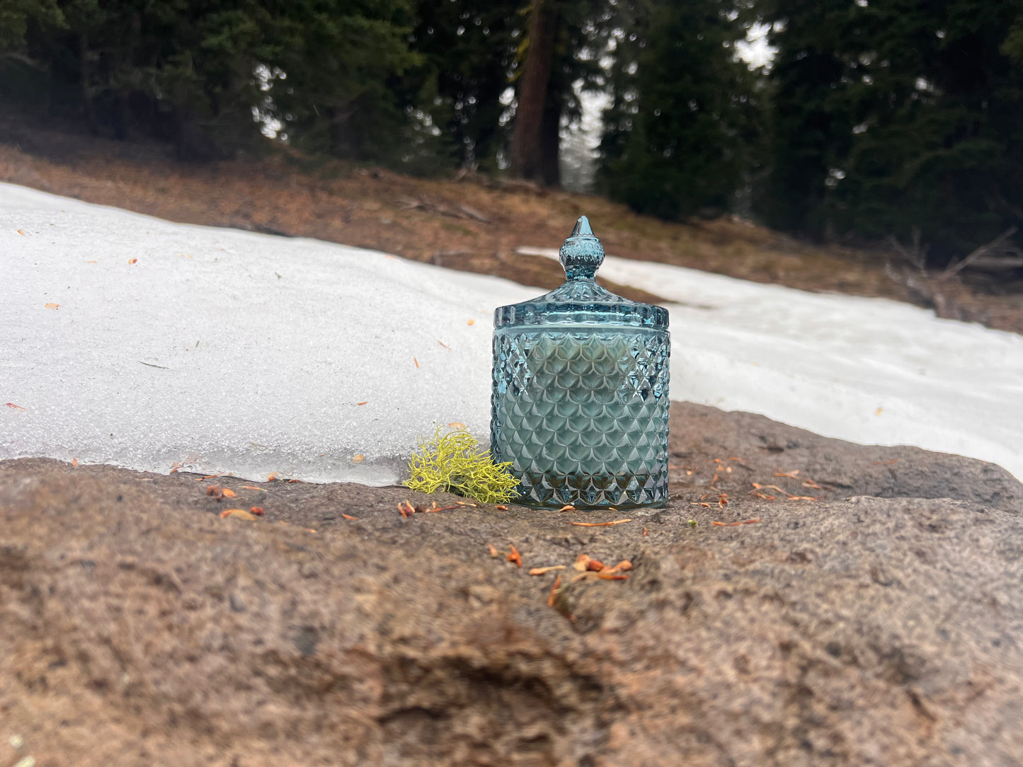 Winter Solstice 8 oz. Candle