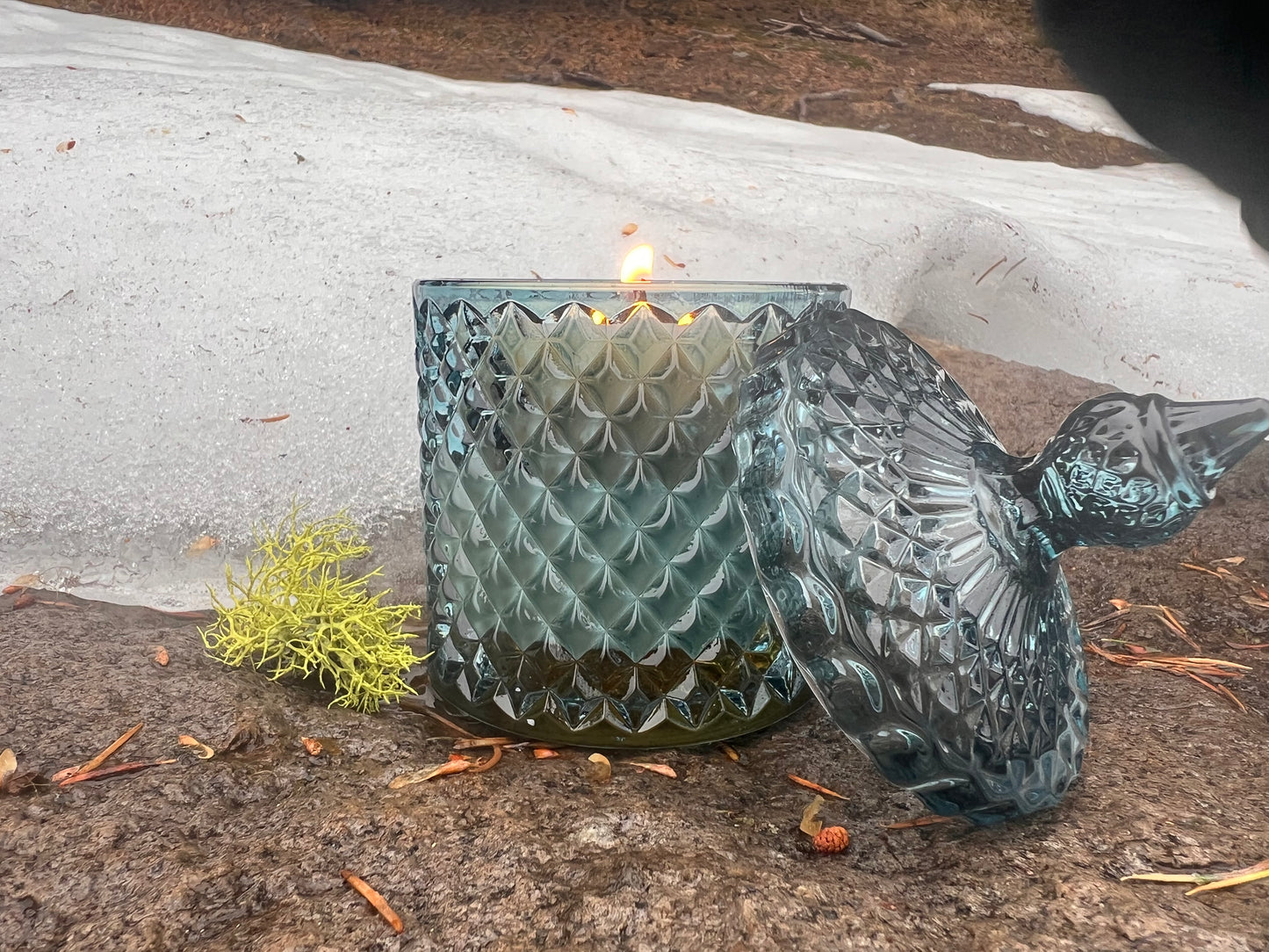 Winter Solstice 8 oz. Candle