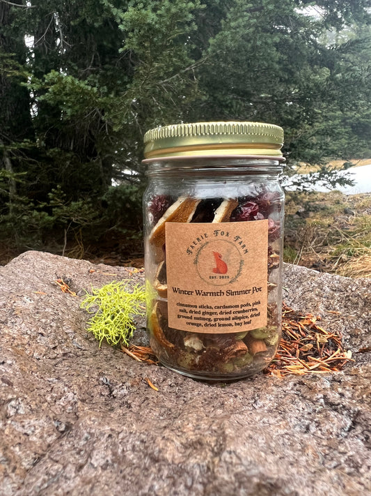 Winter Warmth Simmer Pot